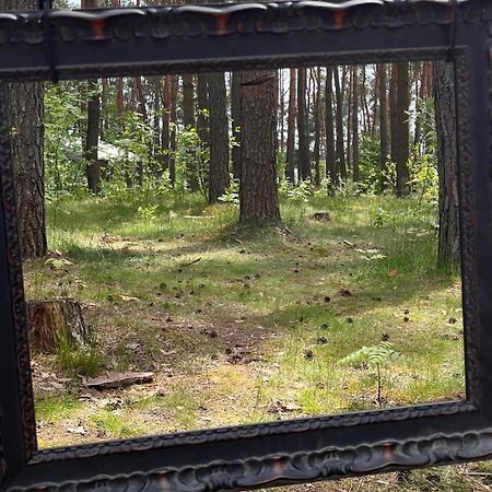 Gora Spokoju Osada Klimatyczna-Lesna Inowlodz Εξωτερικό φωτογραφία