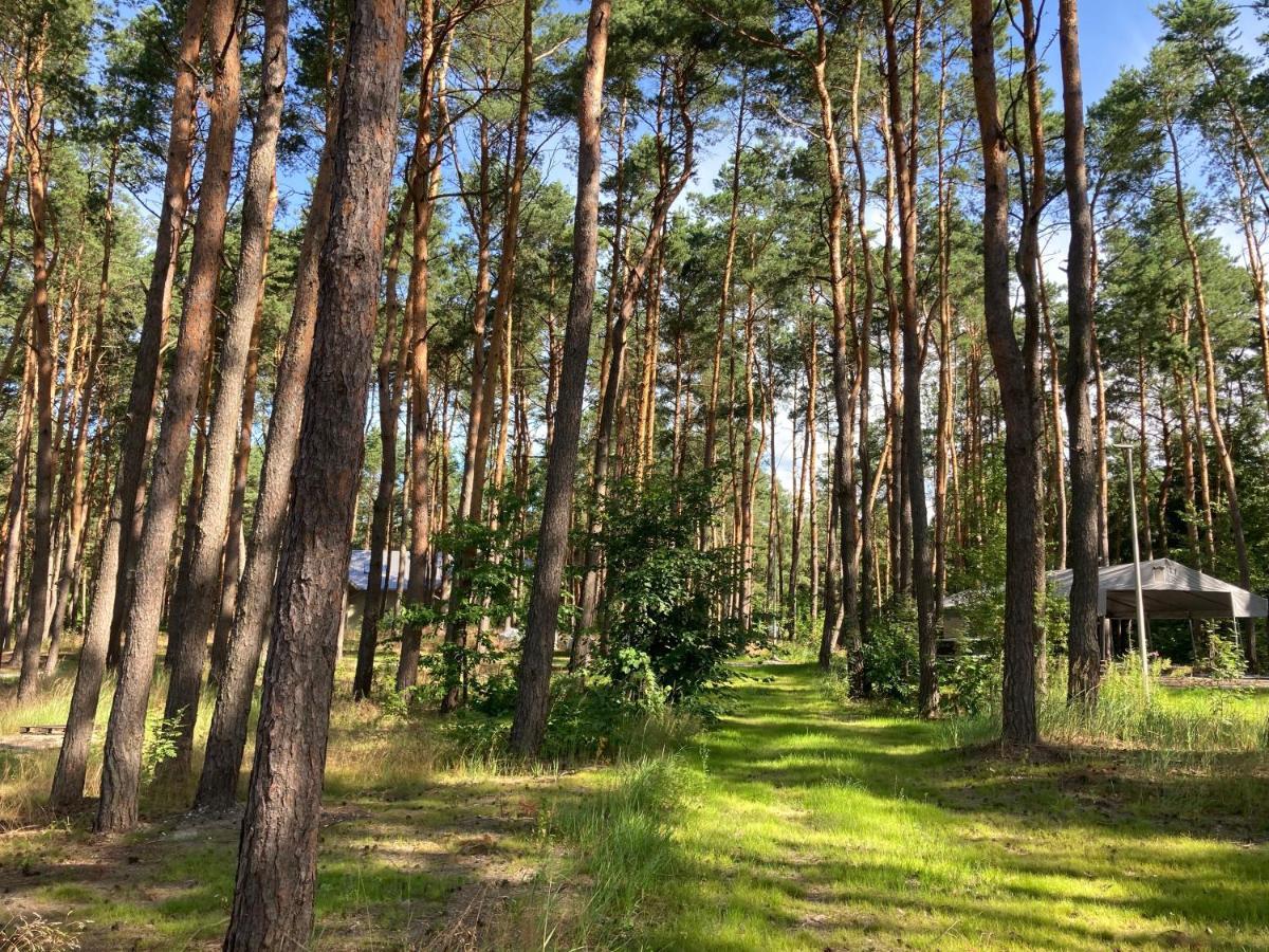 Gora Spokoju Osada Klimatyczna-Lesna Inowlodz Εξωτερικό φωτογραφία