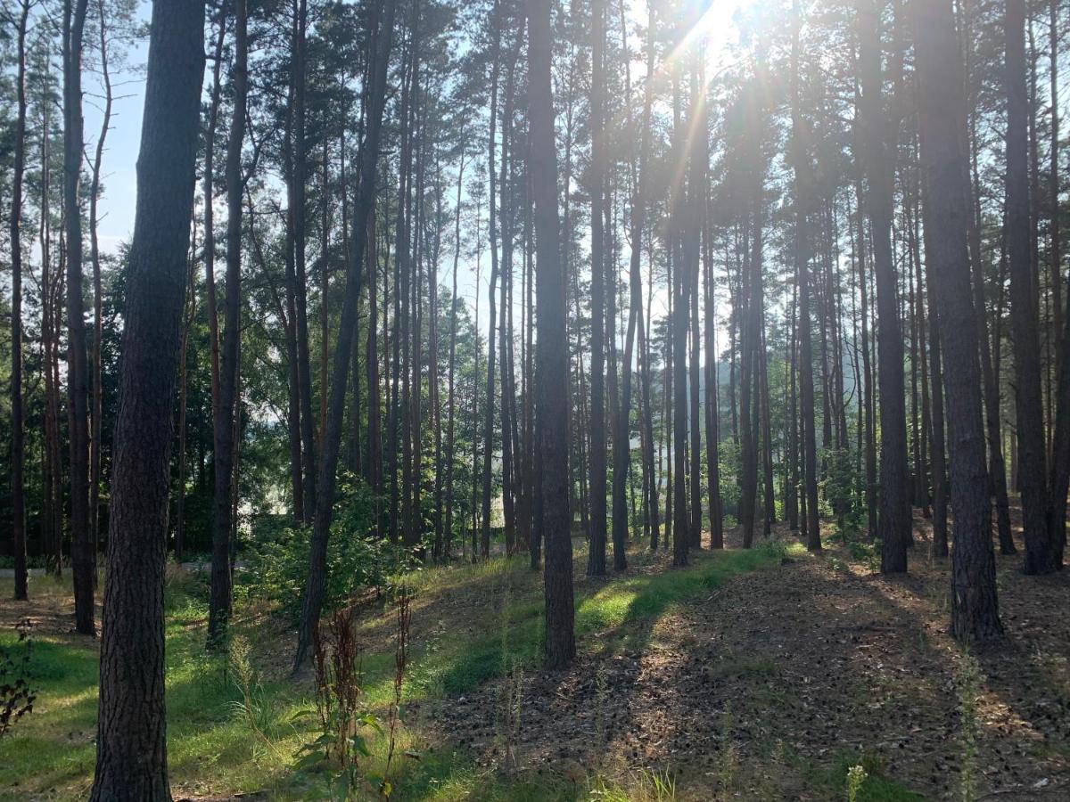 Gora Spokoju Osada Klimatyczna-Lesna Inowlodz Εξωτερικό φωτογραφία