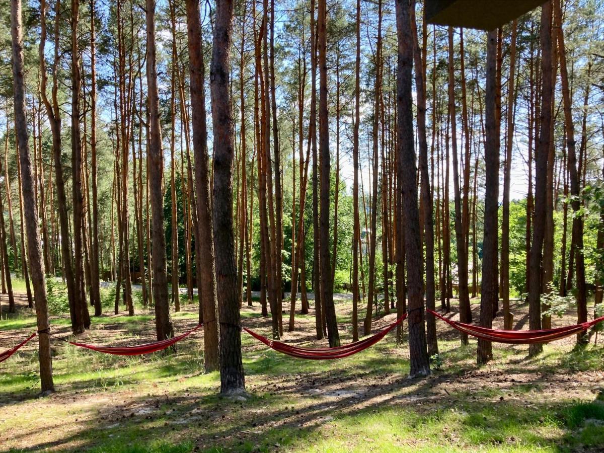 Gora Spokoju Osada Klimatyczna-Lesna Inowlodz Εξωτερικό φωτογραφία
