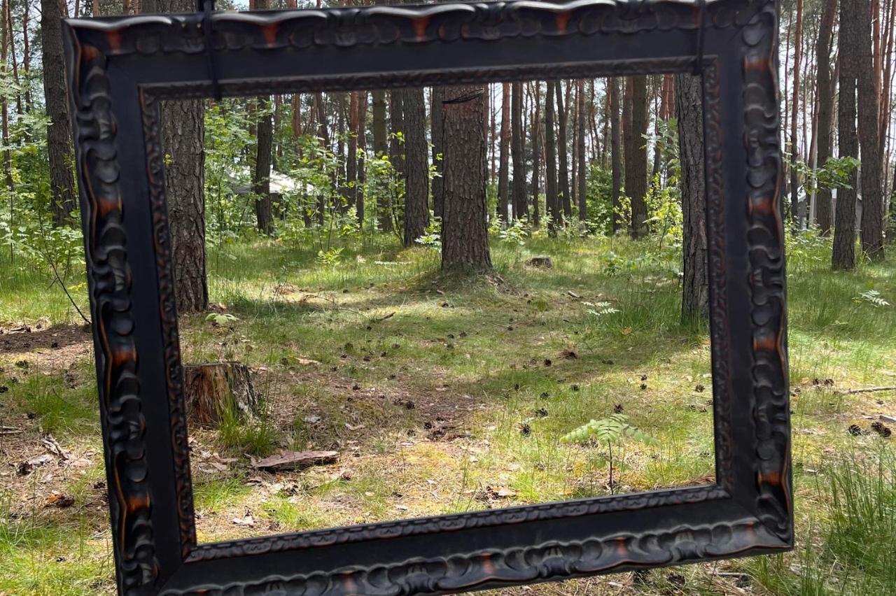Gora Spokoju Osada Klimatyczna-Lesna Inowlodz Εξωτερικό φωτογραφία